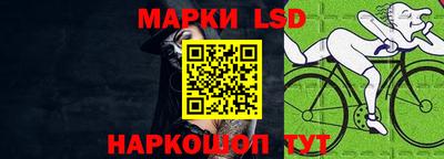 прущие грибы Будённовск
