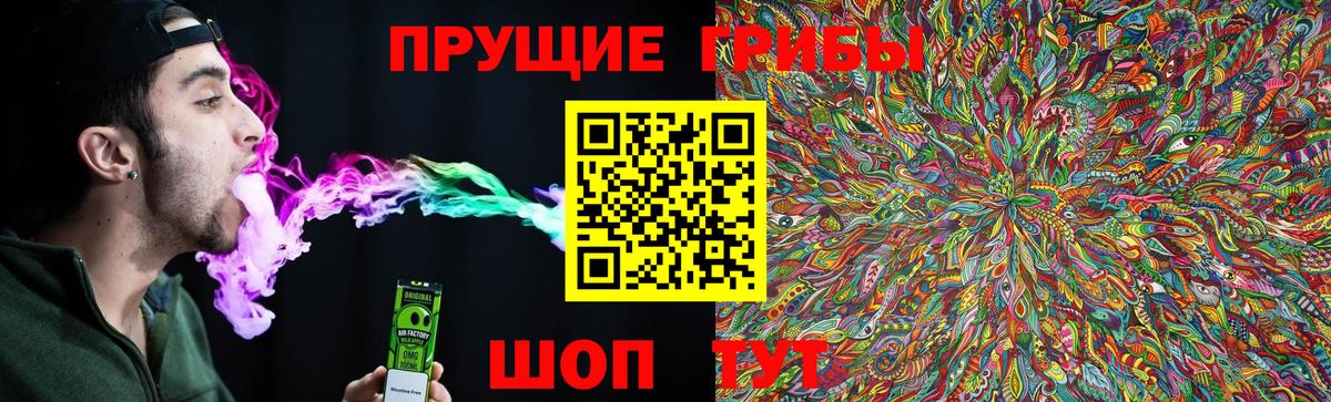 Псилоцибиновые грибы Psilocybine cubensis  Вход с VPN  Обнинск 